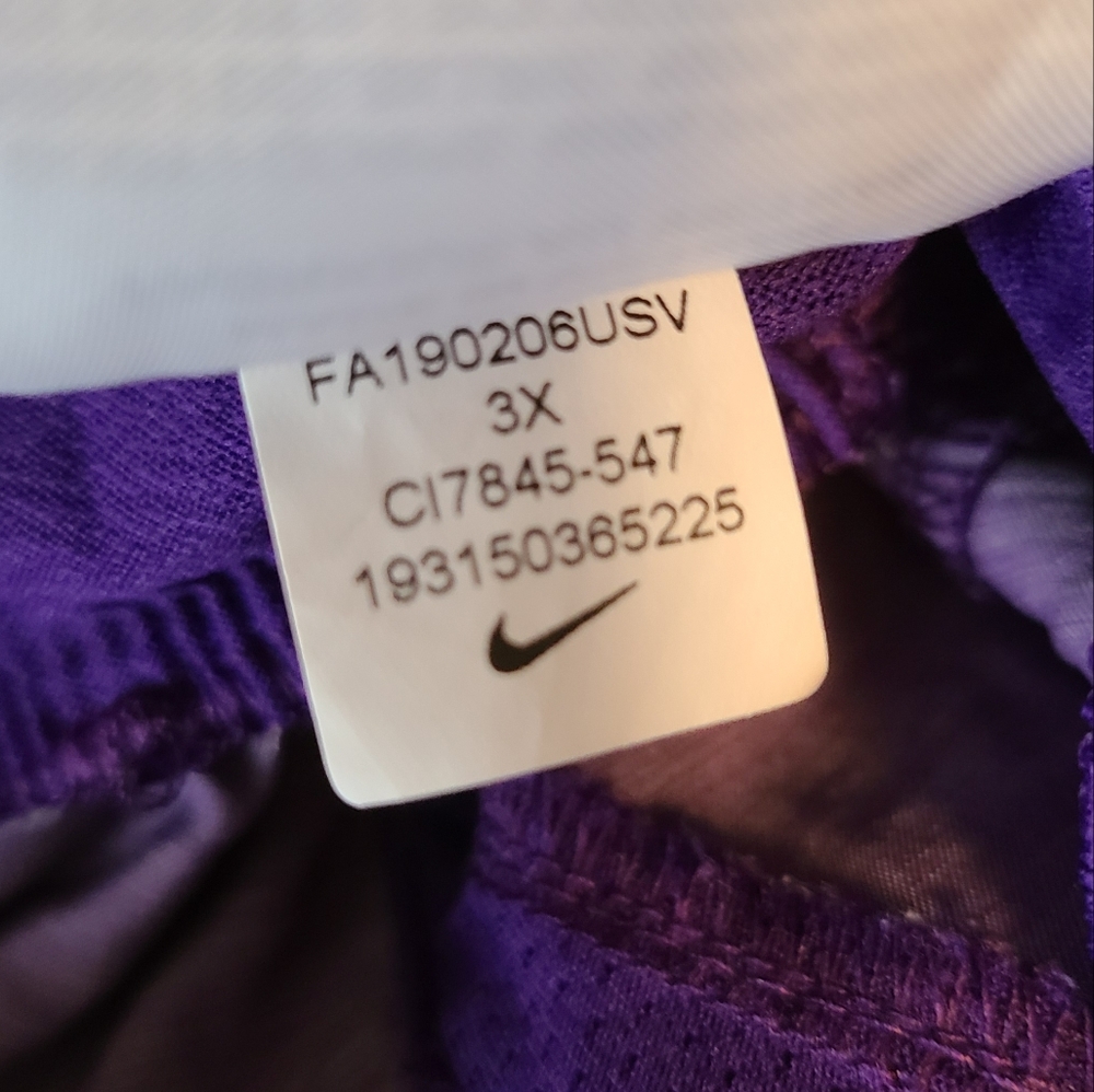 Nike Running shorts with attached underwear liner - purple 3x